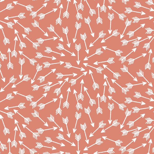 Arrows in Desert Rose