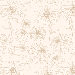 Aster Sketch in Sable on Cloud