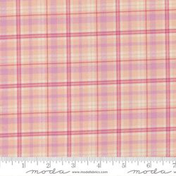Plaid Checks in Blush