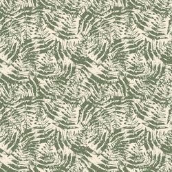 Scattered Ferns in Forest