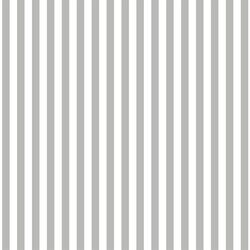 Dress Stripe in Pebble