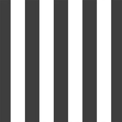 Play Stripe in Onyx