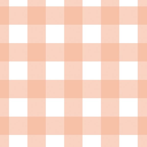 Large Gingham in Coral Blush