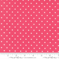 Cosmo Dot in Rosie