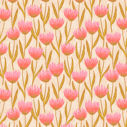 Garden Tulips in Pearl Pink