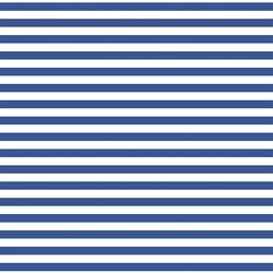 Horizontal Dress Stripe in Blue Jay