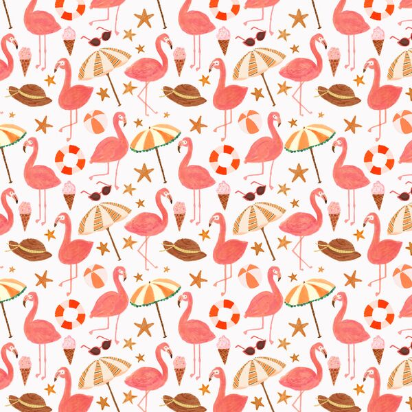 Little Flamingo Beach in Coconut