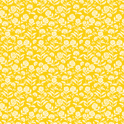 Wild Clover in Golden Sun
