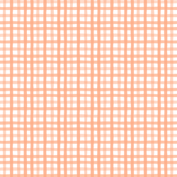 Little Gingham in Peachy