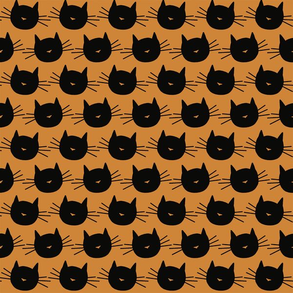 Scaredy Cat in Orange