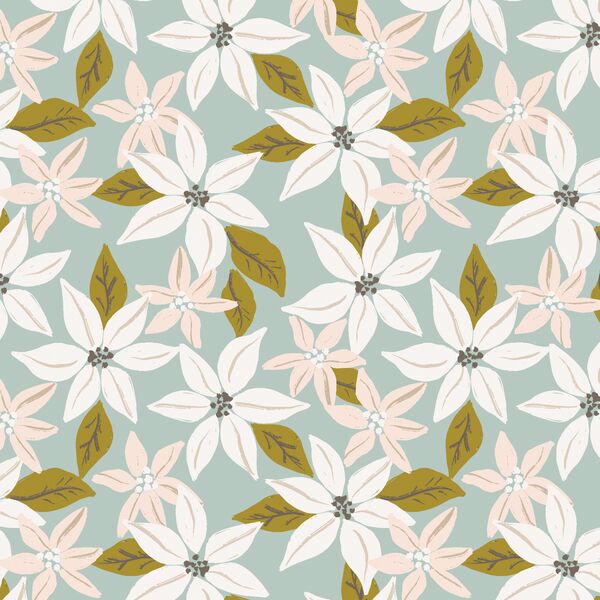 Poinsettia in Multi