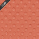 Minky Dimple Dot in Desert Rose