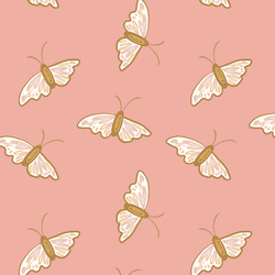 Butterflies in Daisy