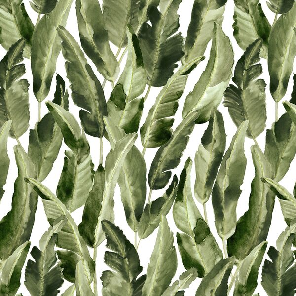 Wild Banana Leaf in White