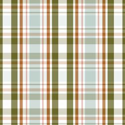 Winter Plaid in Cozy