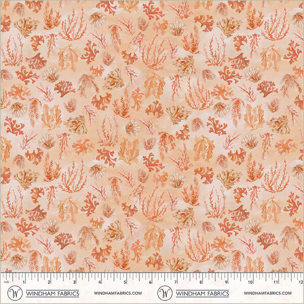 Reef in Coral