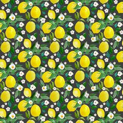 Small Lemons in Onyx