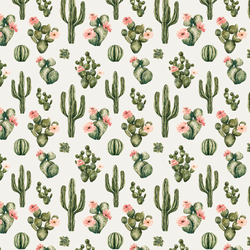 Little Blooming Desert in Cloud