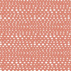 Little Skipping Stones in Desert Rose