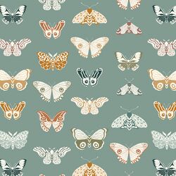 Butterflies in Thyme