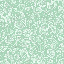 Seashells in Seaglass