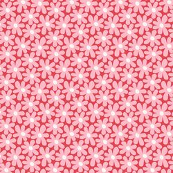 Daisies in Valentine