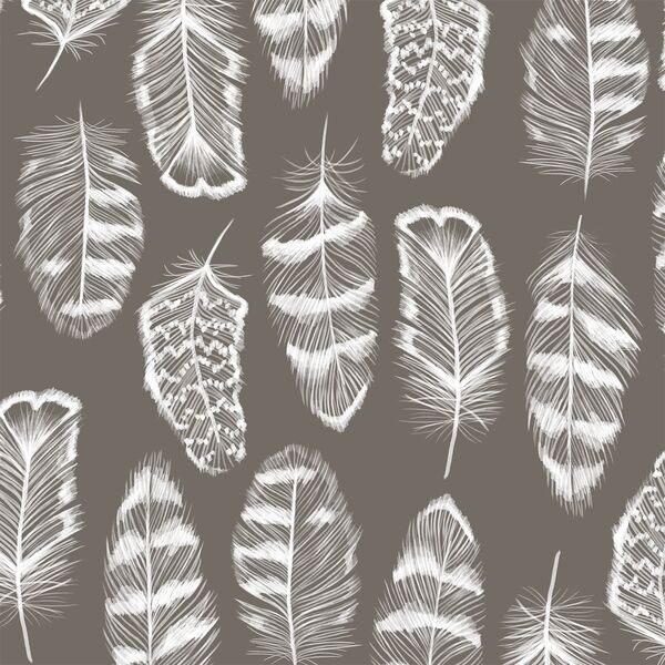 Plume in Stone
