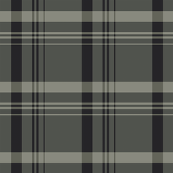 Large Plaid in Evening