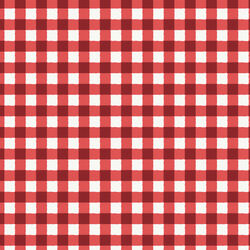 Gingham in Red