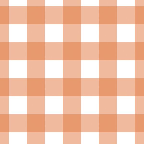 Large Gingham in Papaya