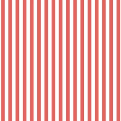 Dress Stripe in Salmon