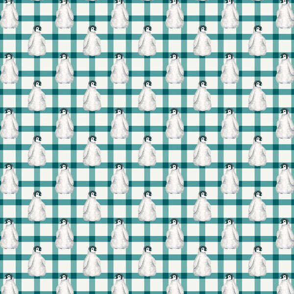 Little Penguin in Teal Plaid