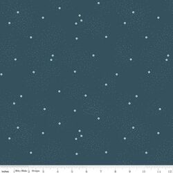 Dainty Daisy in Stargazer