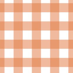 Large Gingham in Papaya