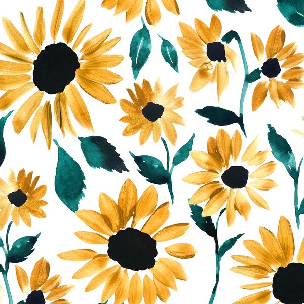 Blooming Sunflowers in Sunset Garden