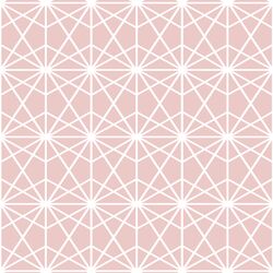 Terrarium in Blush