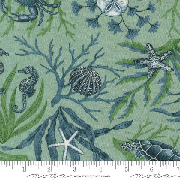 Coastal All Over in Aqua