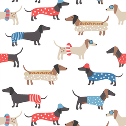 Large Summer Dachshunds in White