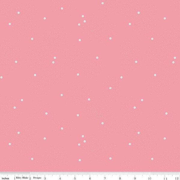 Dainty Daisy in Peony