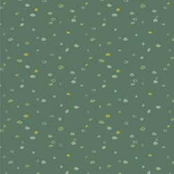 Seed Scatter in Forest