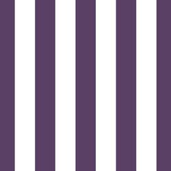 Play Stripe in Aubergine