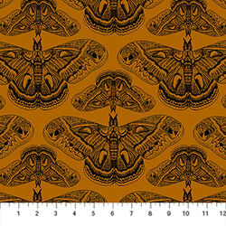 Cecropia in Saffron