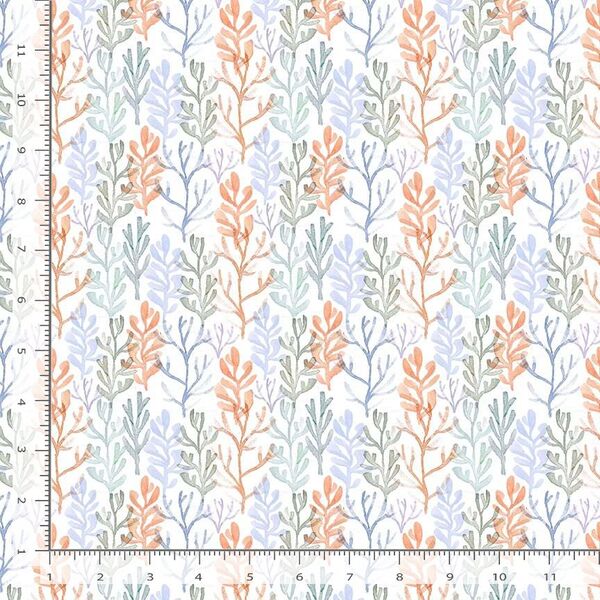 Coral Reef in White