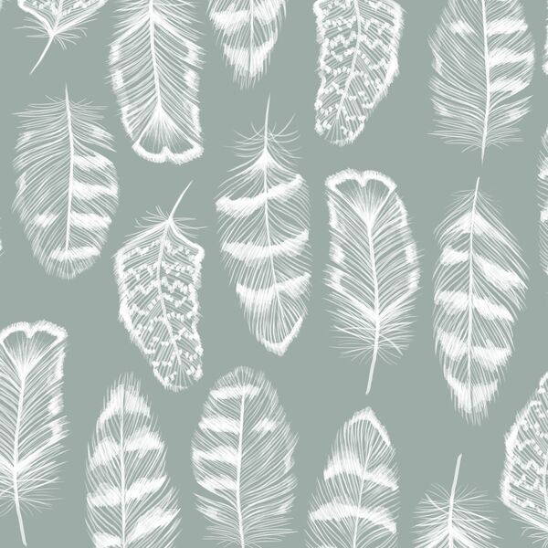 Plume in Eucalyptus