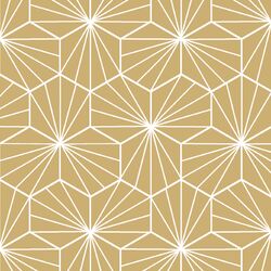 Radiate in Golden Canyon