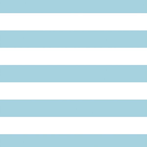 Horizontal Play Stripe in Robins Egg