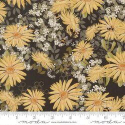Daisies in Onyx