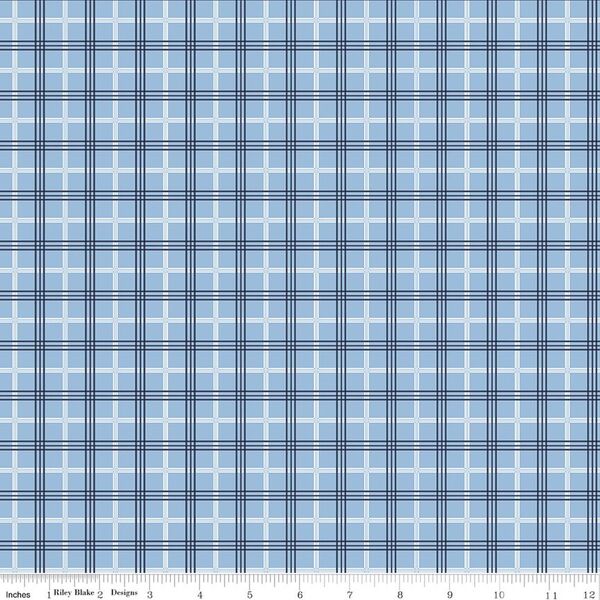 Plaid in Blue