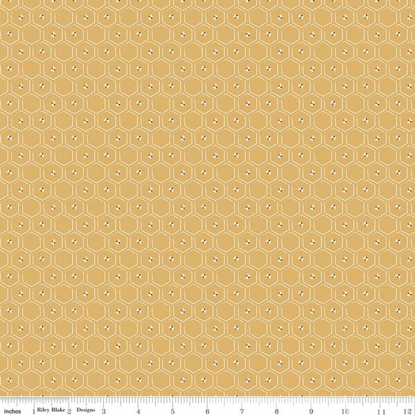Honeycomb in Honey