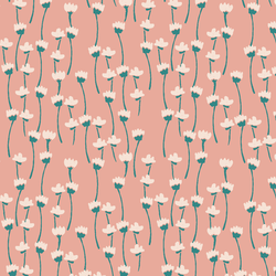 Lily Flowers in Warm Pink